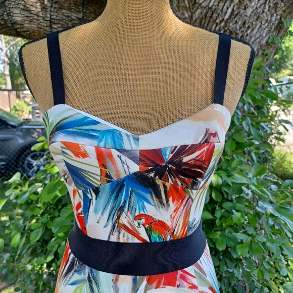 MILLY parrot and - Picture 8 of 16